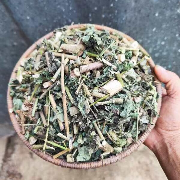 野生黄蜀葵干品 新鲜无硫假杨桃广西中草药棉花葵棉花蒿全草包邮 500