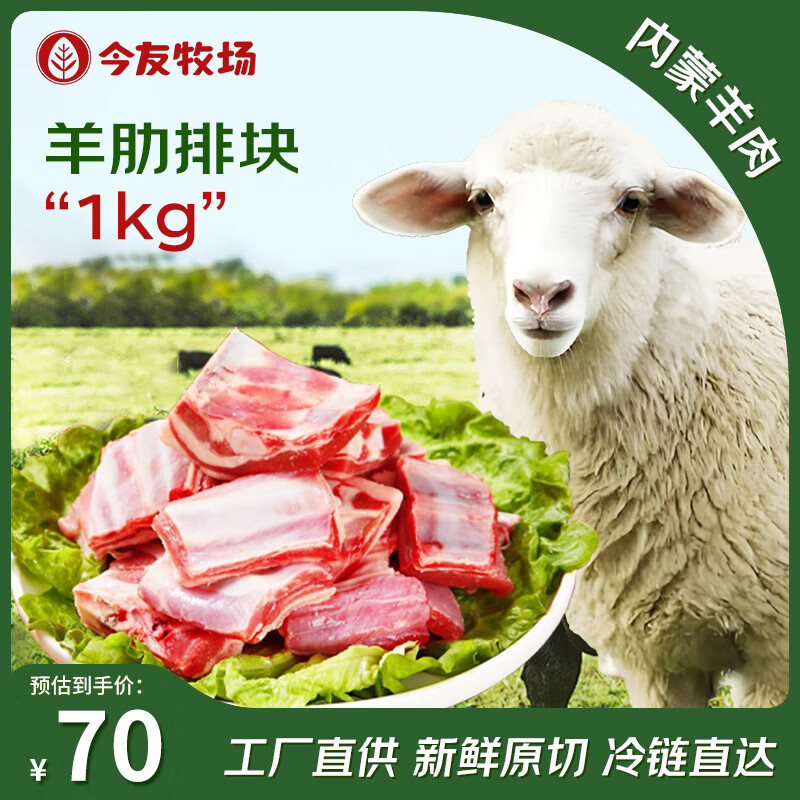 今友牧场内蒙古羊肉 原切羊肋排净重2斤 生鲜羔羊手抓羊排骨烧烤炖煮食材