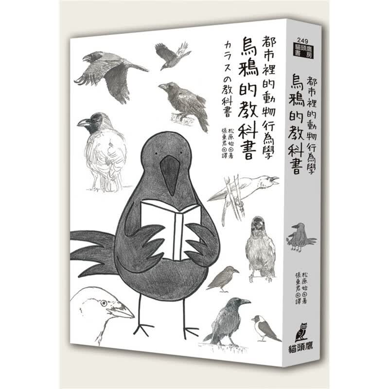 预订台版 都市裡的动物行为学 乌鸦的教科书文学治愈