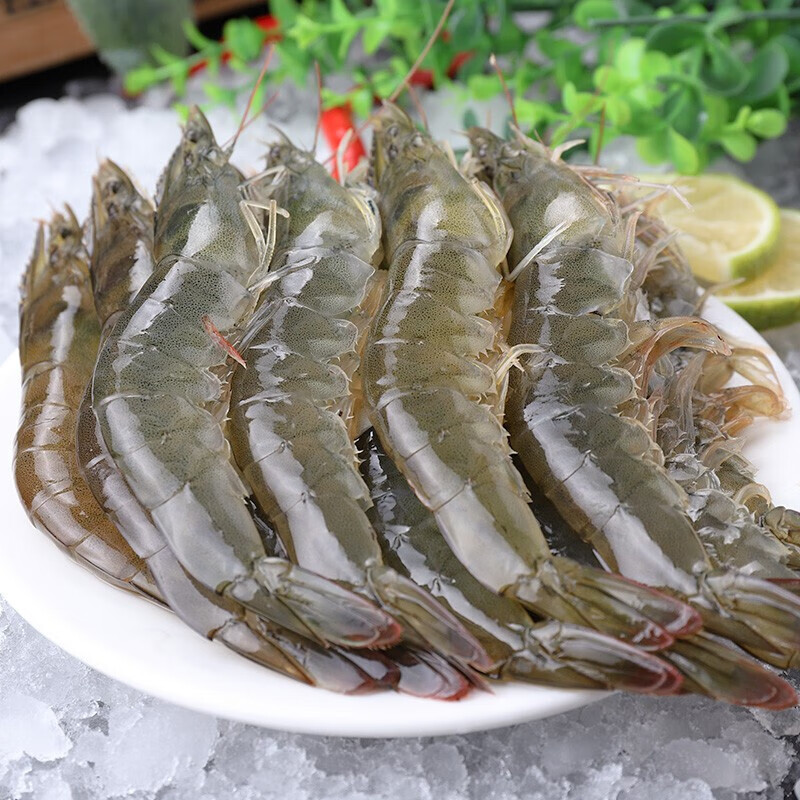 沃喜乐青岛海捕大虾新鲜速冻青岛大虾青虾生鲜虾类 青虾1500g 鲜虾
