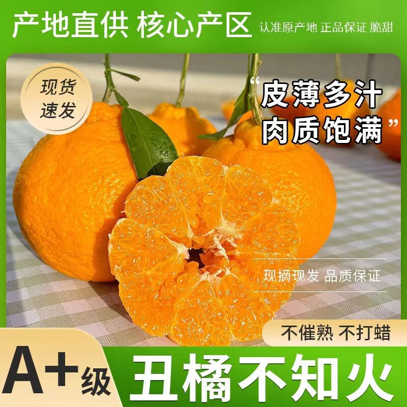 怎么查看京东桔橘历史价格|桔橘价格走势