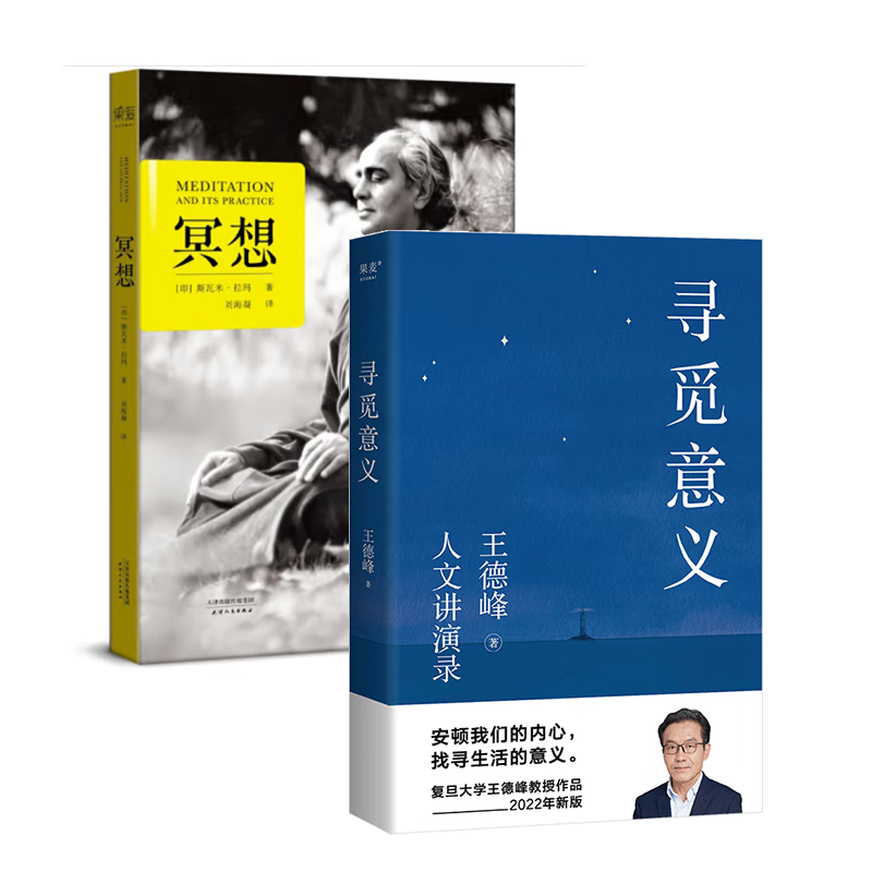寻觅意义+冥想(套装2册) 复旦大学王德