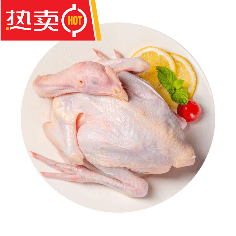 草香鸡  新鲜生鲜鸡肉 净膛  母鸡 红烧 中秋节团建送礼生鲜团建送礼