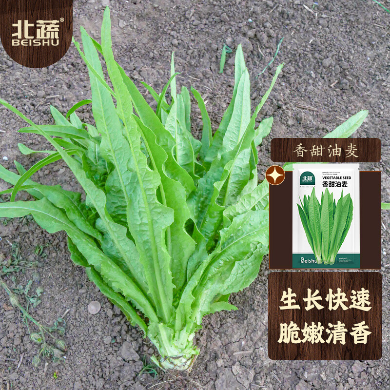 京东可以看蔬菜类历史价格吗|蔬菜类价格比较