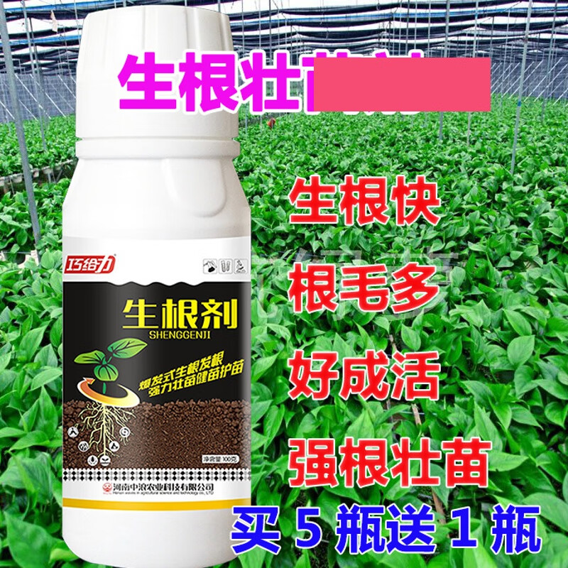 植物育苗壮苗剂扦插多肉草莓强力生根剂花卉苗木爆发生根水催芽液 一