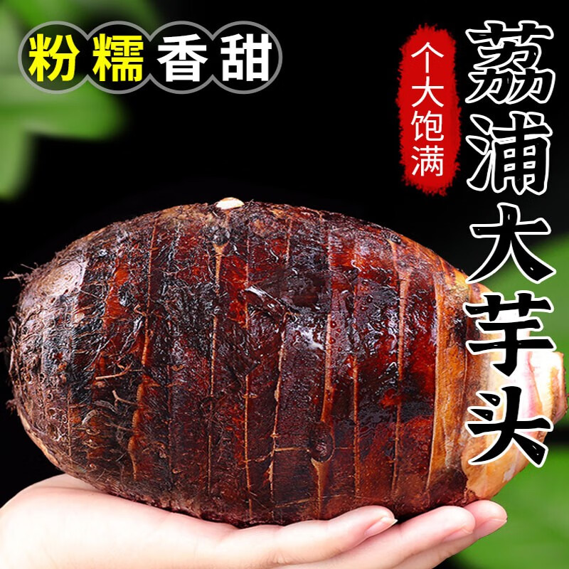 荔浦正宗广西特产芋头 新鲜香芋大果 生鲜蔬菜 现挖应季新品直供 芋头
