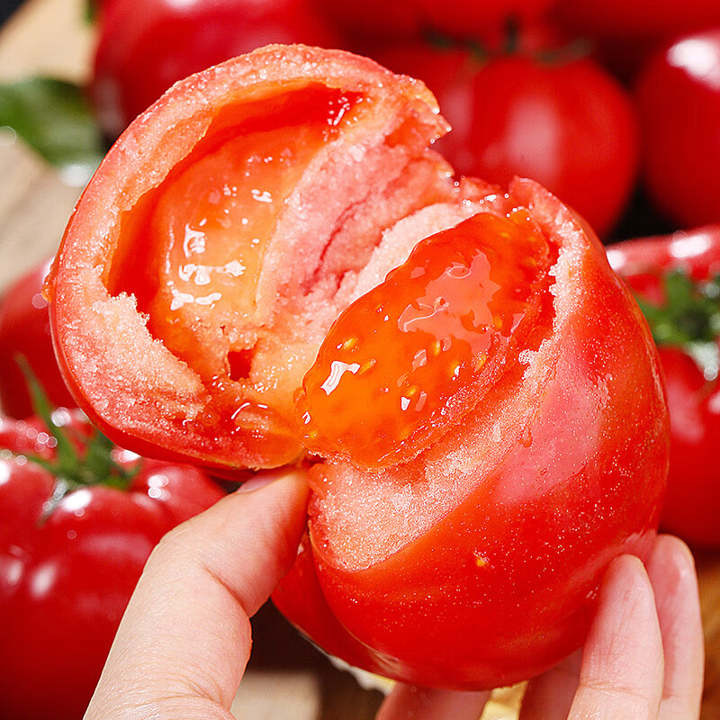 京地达萄鲜客山东口感番茄西红柿4.5斤生吃自然熟现摘新鲜番茄