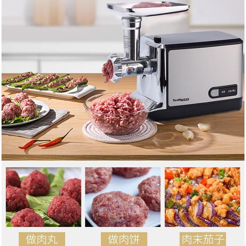 Tenfly绞肉机家用电动灌肠机搅肉机多功能碎肉饺馅机小型商用辣椒蒜蓉机大功率绞肉机 拉丝银 350W 标配双刀片 3L