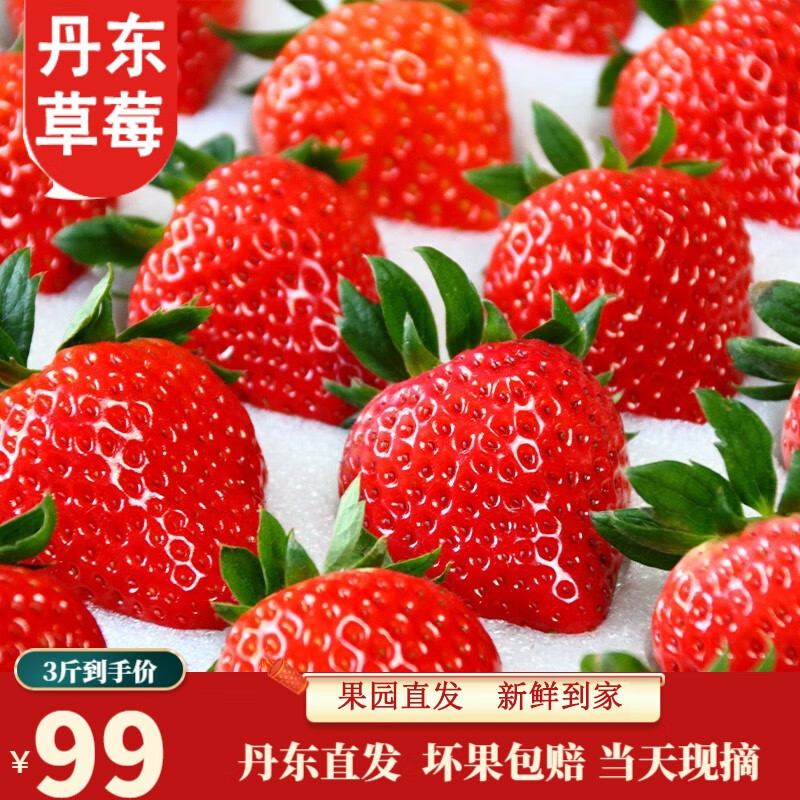 草莓价格走势统计|草莓价格走势图