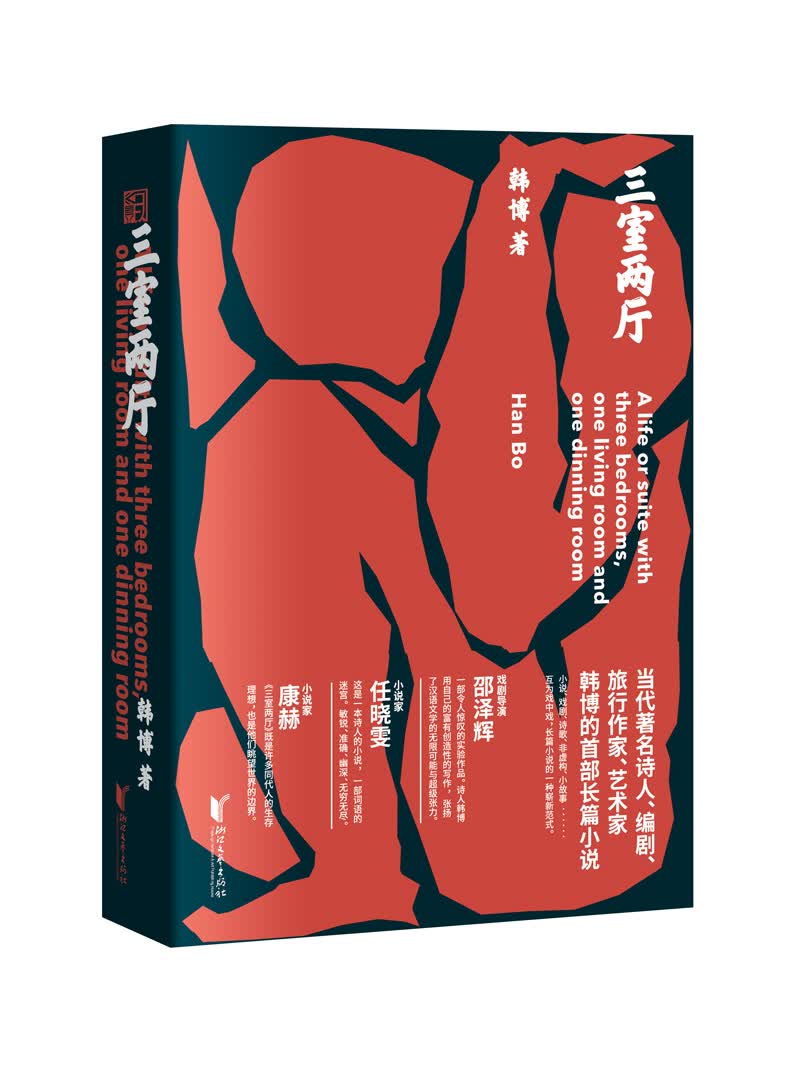 三室两厅（呈现时代社会迅速转向之下，年轻一代知识分子的精神格局）（韩博作品系列）