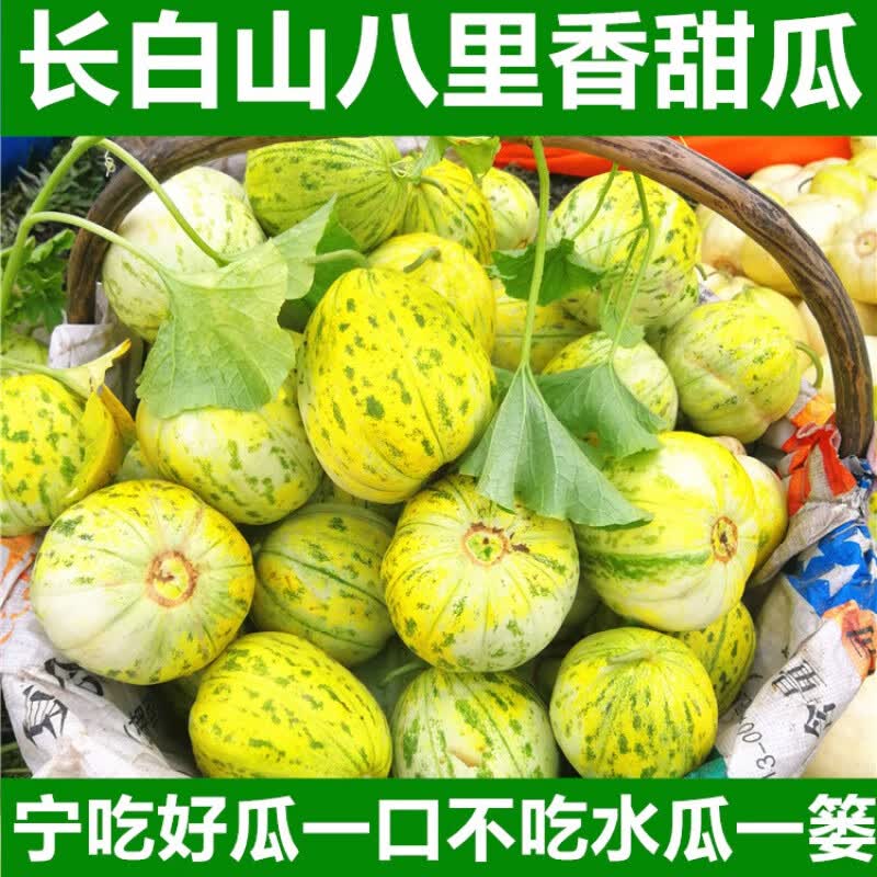 十里馋春瑞 八里香花姑娘香瓜脆甜多汁新鲜整箱应季时令水果花蕾甜瓜
