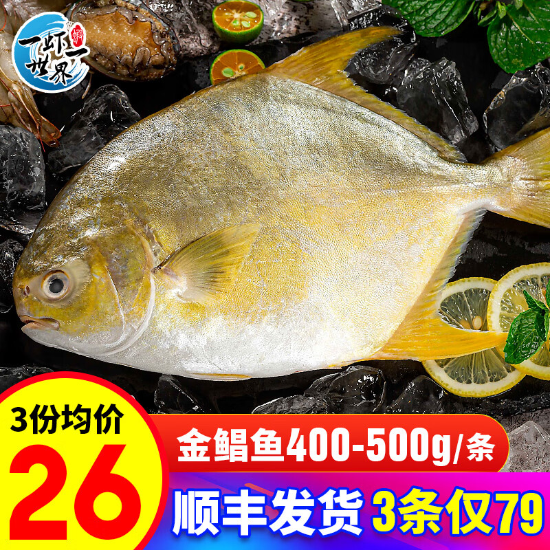 一虾一世界 国产新鲜冷冻无冰衣白鲳鱼/金鲳鱼 清蒸香煎烧烤食材 新鲜捕捞 金鲳鱼400-500g/条