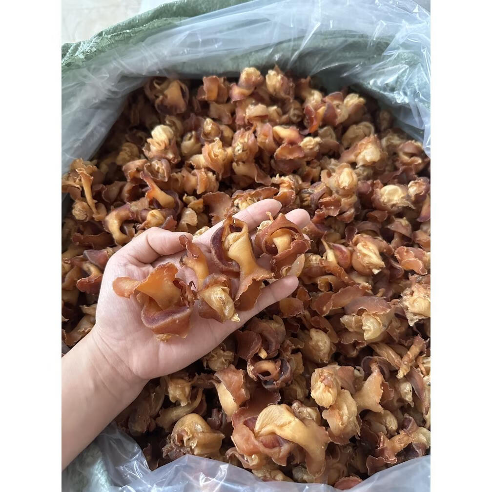 思其味响螺头煲汤材料港式螺片海鲜干货海螺片响螺肉红螺 250g