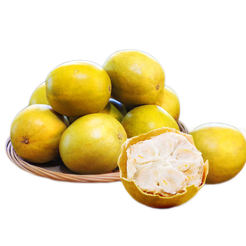 羅漢果干果大果獨(dú)立包裝泡茶廣西桂林特產(chǎn)黃金羅漢果茶泡水 味甘清甜 20個(gè)大果54-57毫米獨(dú)立包裝