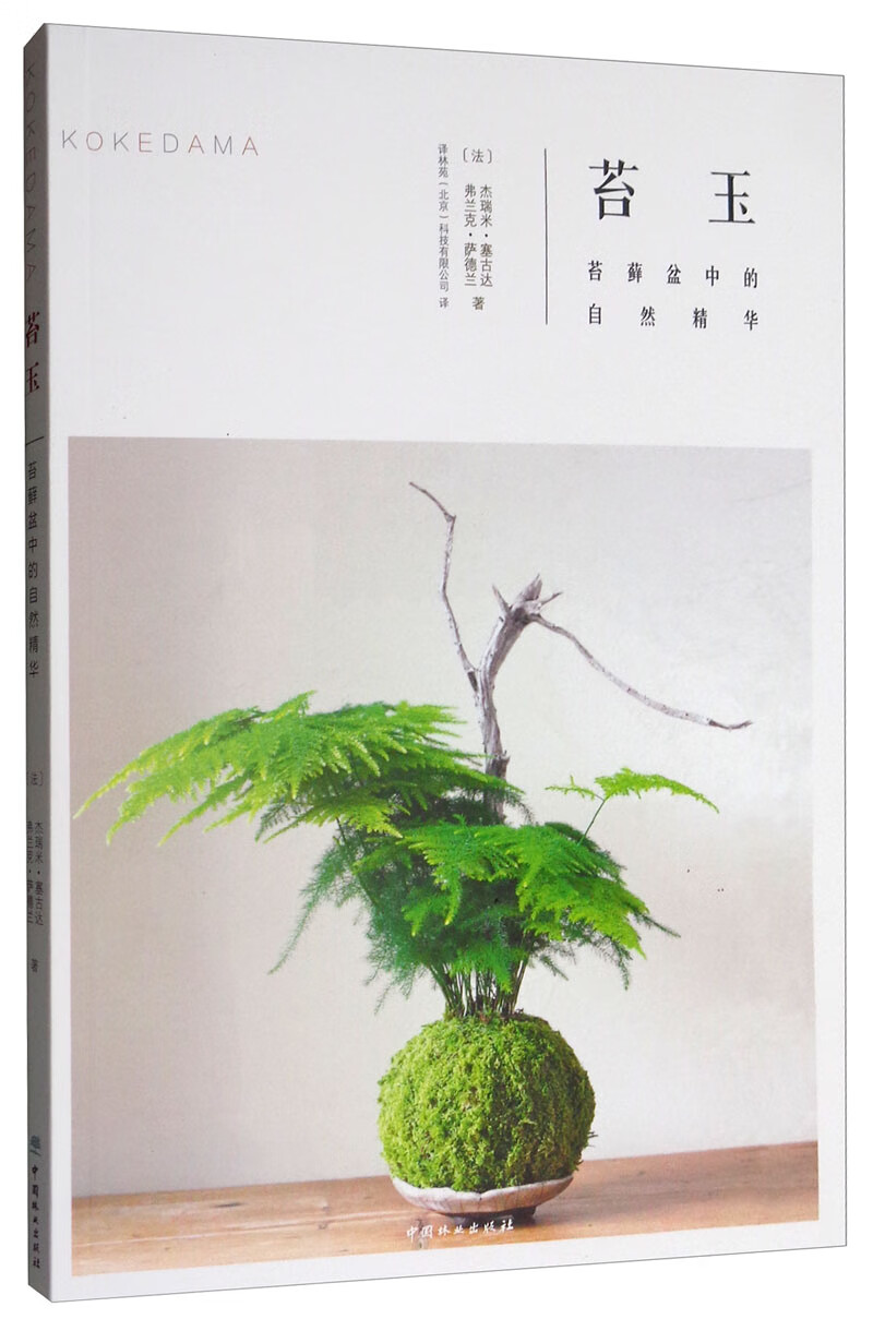苔玉（苔藓盆中的自然精华）