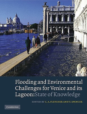 预订 flooding and environmental challenges for venice and its