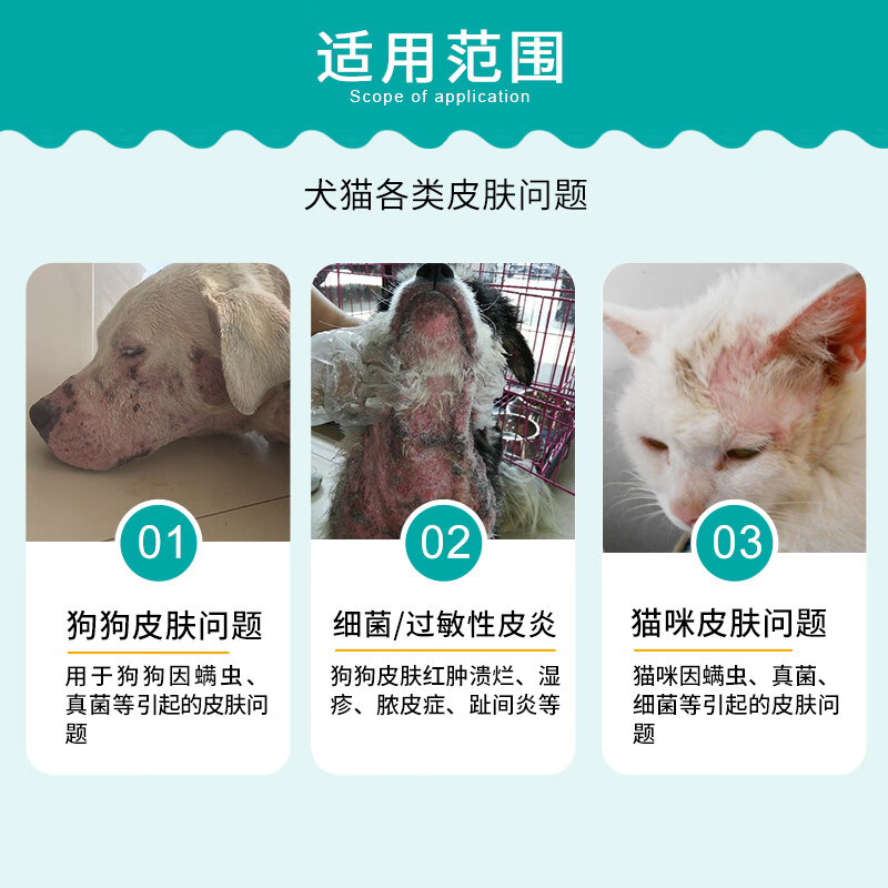 布尔全迪宠物猫狗皮肤创面消毒剂我家的小猫下巴掉块毛，呈粉红色。不知用什么药？