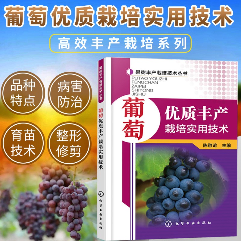 葡萄优质丰产栽培实用技术 果树丰产栽培技术丛书 大棚室温室葡萄种植技术 葡萄栽培种植书籍 葡萄整修修剪病虫害防治书籍 葡萄提子玛瑙葡萄栽培技术指导教程书 葡萄高产栽培技术书