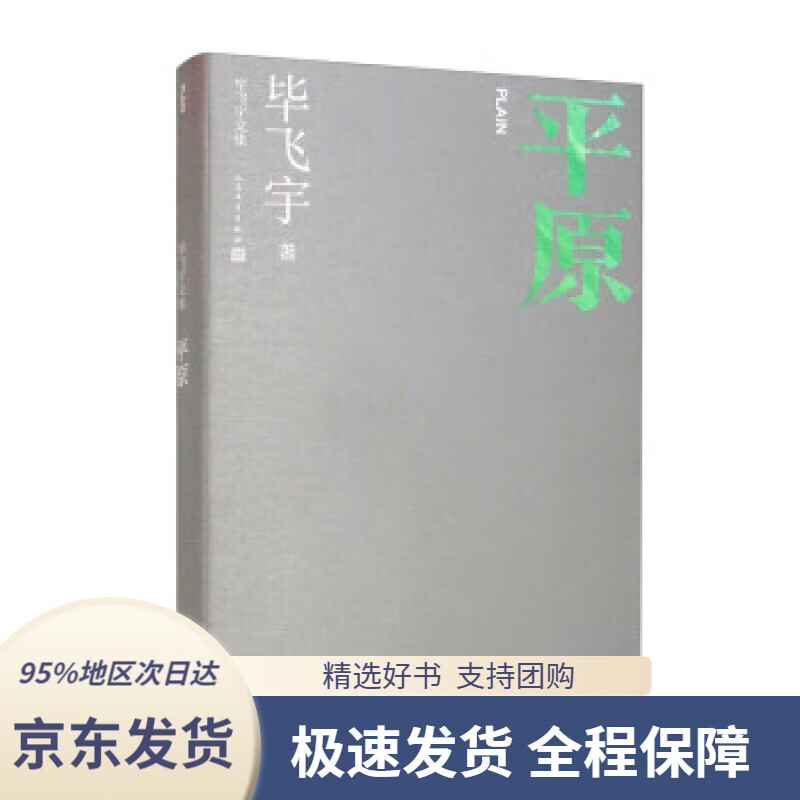 【新华书店 正版包邮】平原 毕飞宇文集 长篇小说 人民文学出版社