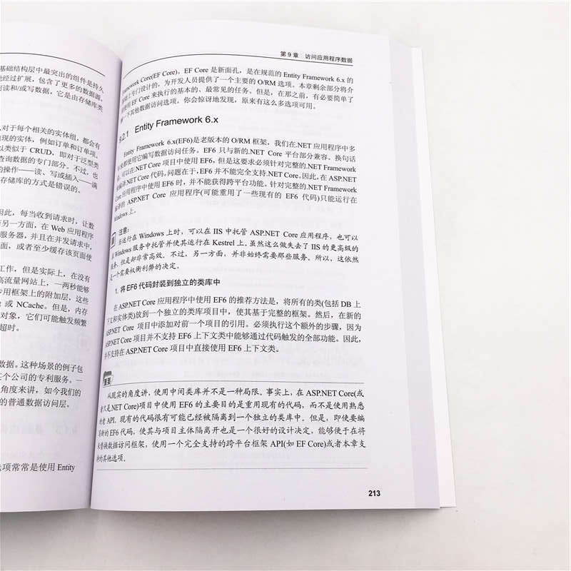 ASP.NET Core开发实战详情图