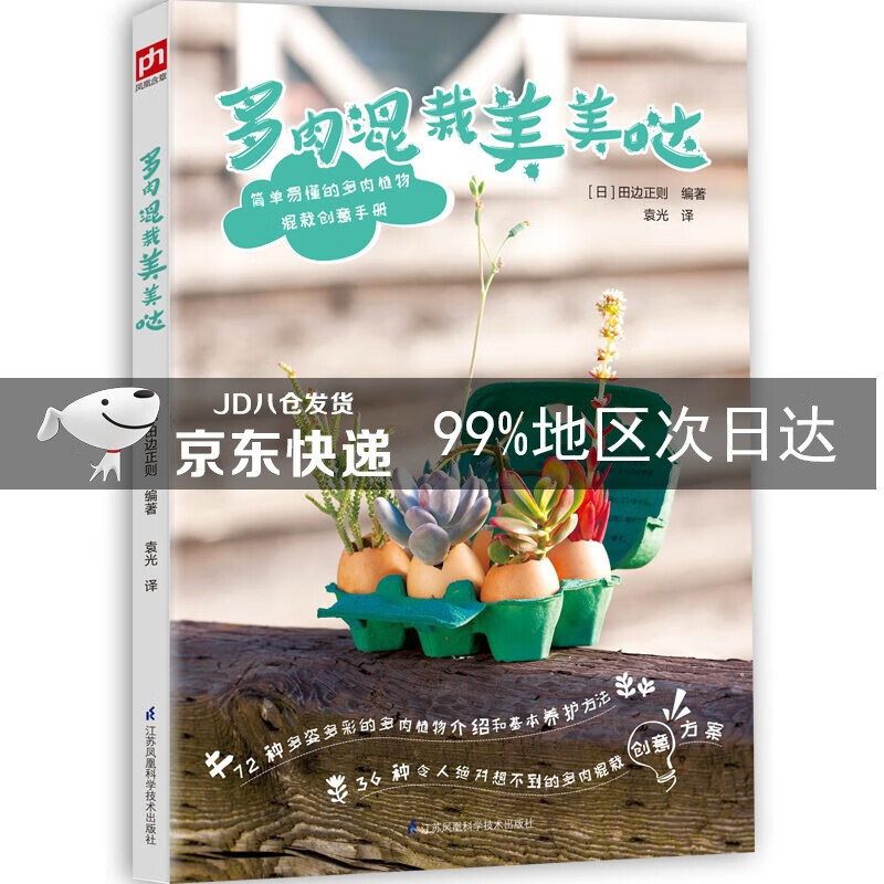 多肉混栽美美哒