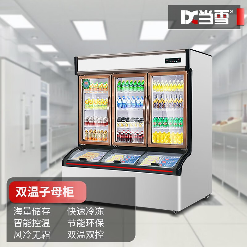 当雪展示柜立式冷冻子母柜双温冰棍雪糕冷冻冷藏柜饮料保鮮展示柜便利