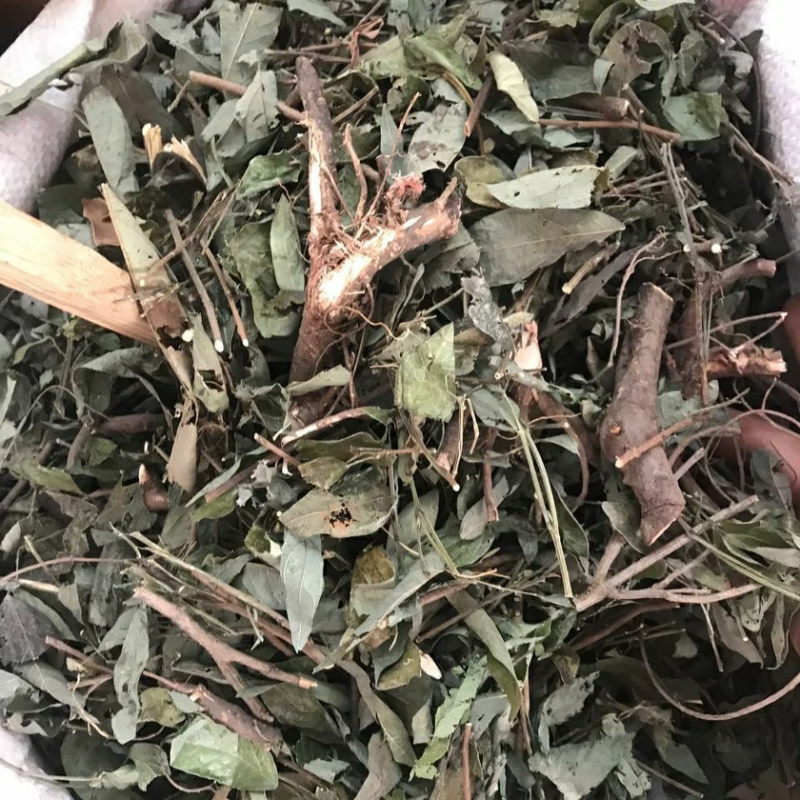 中药材小槐花饿蚂蝗饿蚂蟥山蚂蝗小儿疳积草野生新鲜晒干天然包邮