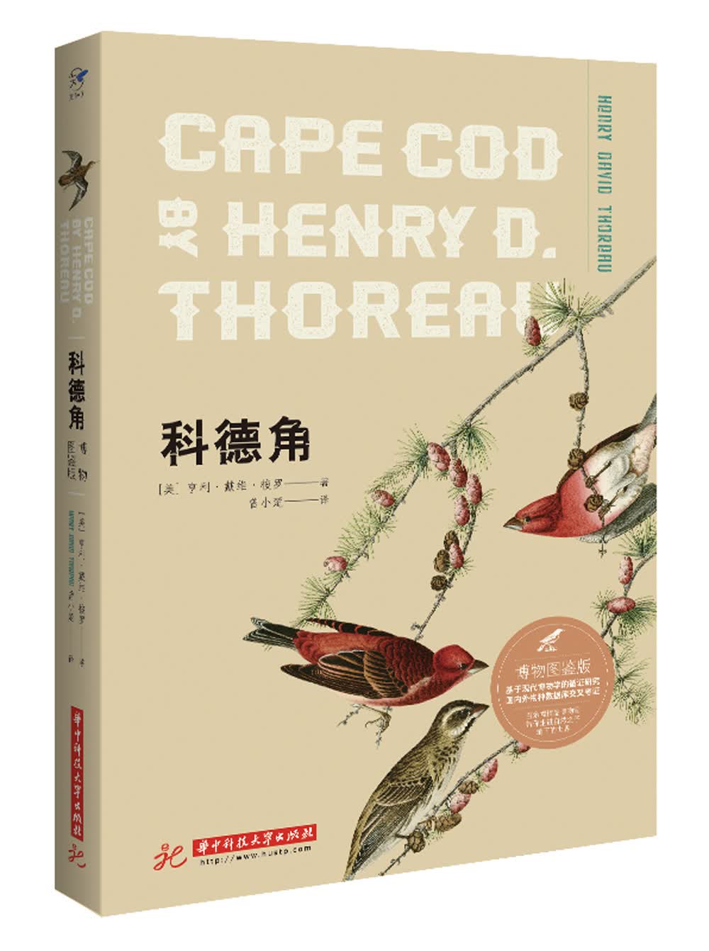 科德角（博物图鉴版）