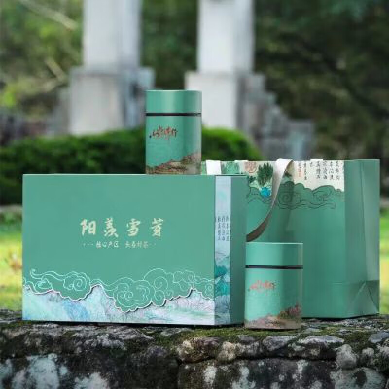 食芳溢阳羡雪芽 宜兴茗茶明前绿茶 2023新茶毛尖特产茶叶罐装礼盒装