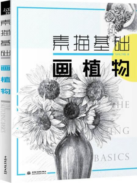 素描基础:画植物【上新】