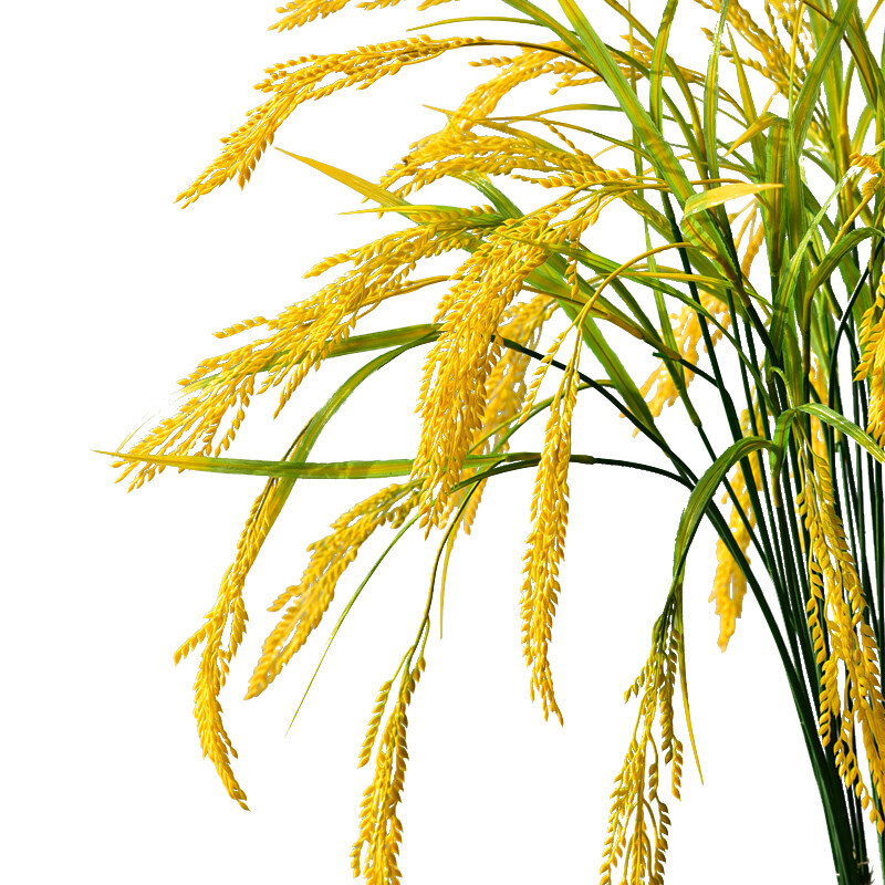 稻穗仿真 仿真稻谷假水稻麦穗稻穗麦子稻子小麦干花装饰花塑料花单支
