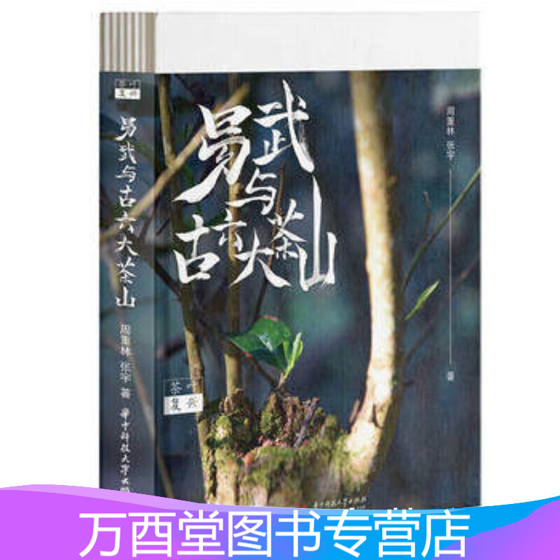 易武与古六大茶山 周重林 张宇 华中科技大学 另荐 普洱茶 续 吴疆说普洱 邓时海 深邃的七子世界