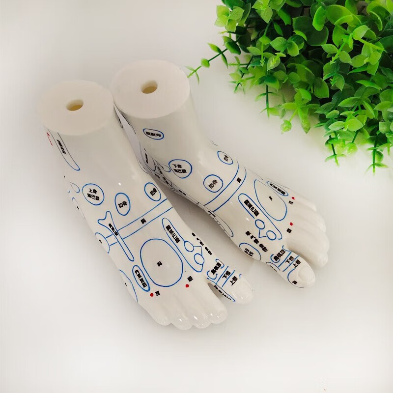 丰帆 按摩足模型 中医针灸经络教学足部穴位模型 按摩足疗足部模具