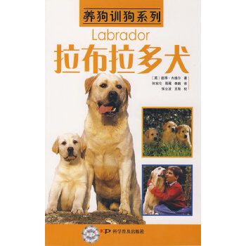 十大聪明名犬拉布拉多图片