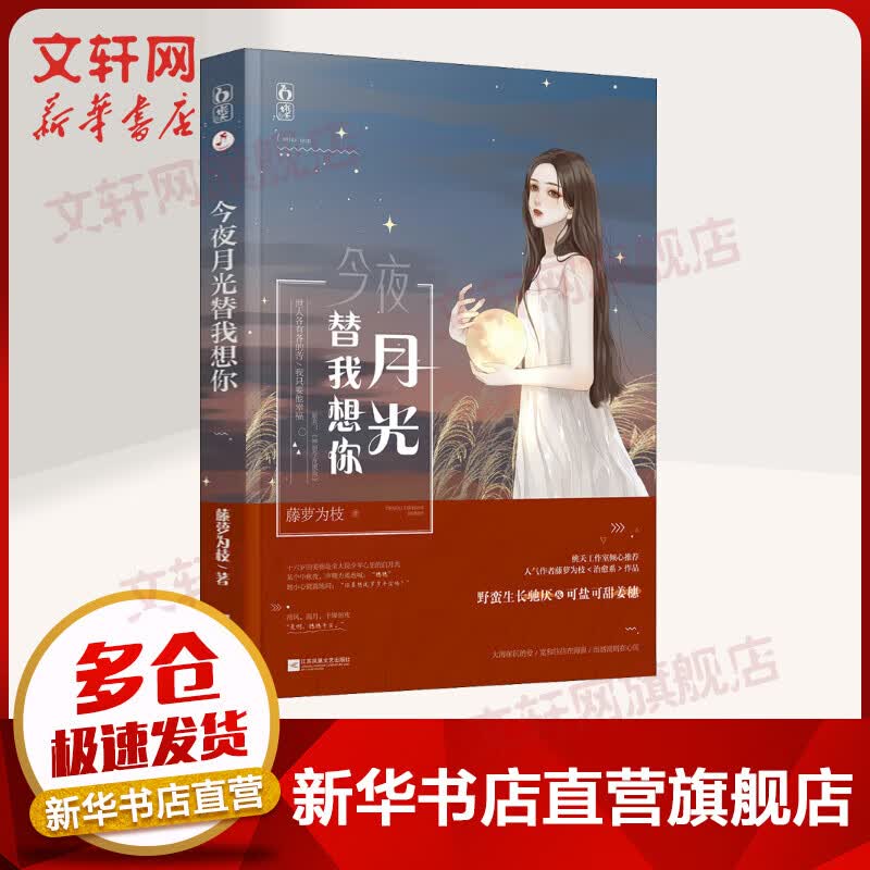 今夜月光替我想你