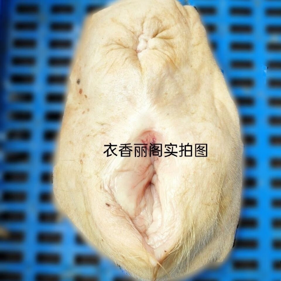 农家散养现宰黄牛新鲜整套母牛子宫生殖器官牛欢喜进补炖汤食材 1.