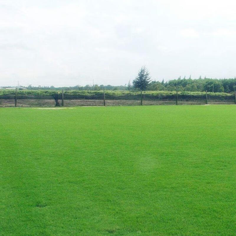 花草林木类历史低价查询|花草林木类价格走势图