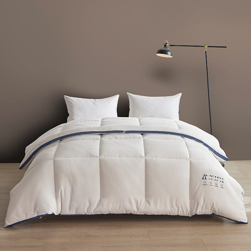 莱薇 a类抗菌面料大豆纤维立体冬被纯色保暖被芯被子 白色 200*230cm