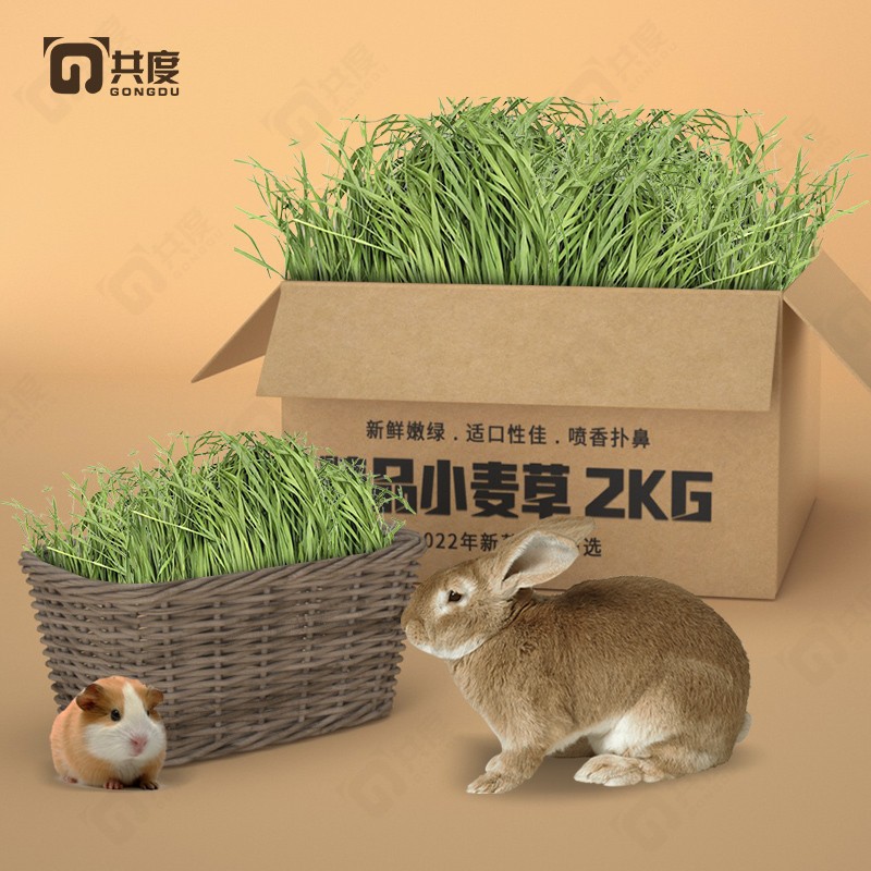 可以看京东兔子食品历史价格|兔子食品价格历史