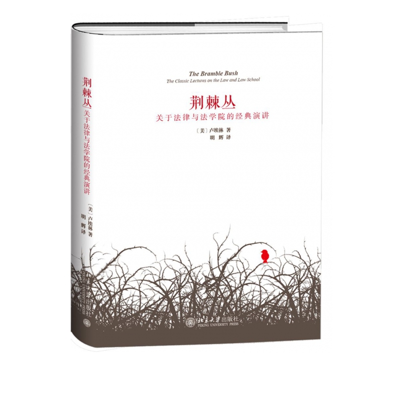 荆棘丛(关于法律与法学院的经典演讲)