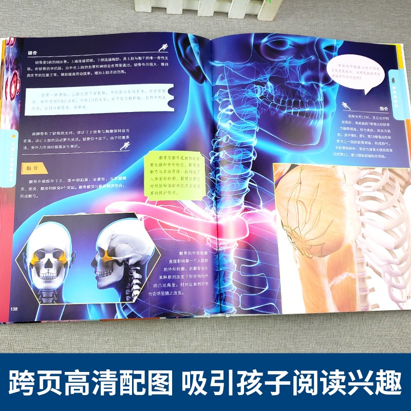 儿童百科全书（全4册）地球大百科+海洋百科全书+人体百科全书+交通工具百科全书详情图
