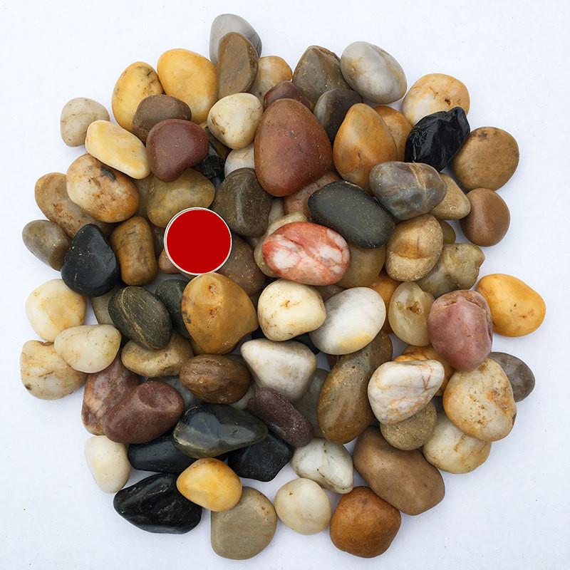 蓝桂圆天然大鹅卵石庭院铺路铺地鹅暖石石头花园园林园艺家用造景鹅软