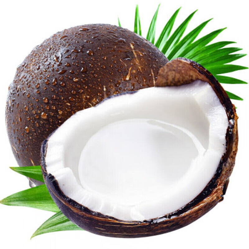 海南椰皇老椰子黑椰子煲汤水果椰子 3个装