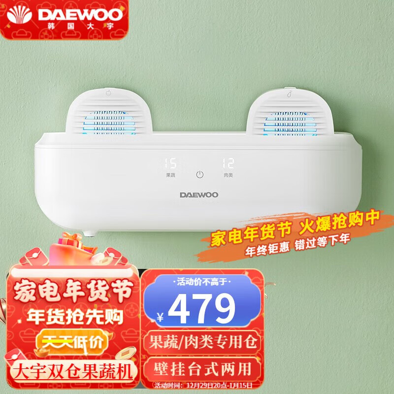 大宇（DAEWOO）果蔬清洗机卫士家用洗菜机全自动食材净化机器蔬菜水果鱼肉虾去农药残解毒机壁挂式 QX6-1（双仓）典雅白