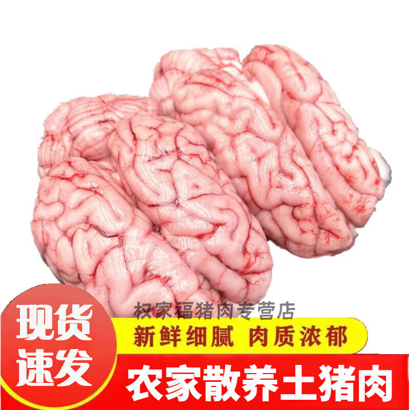 姬露鲜 精品8副土猪脑 当日冰鲜 烧烤16副猪脑花 火锅800克 4副猪脑怎么样,好用不?
