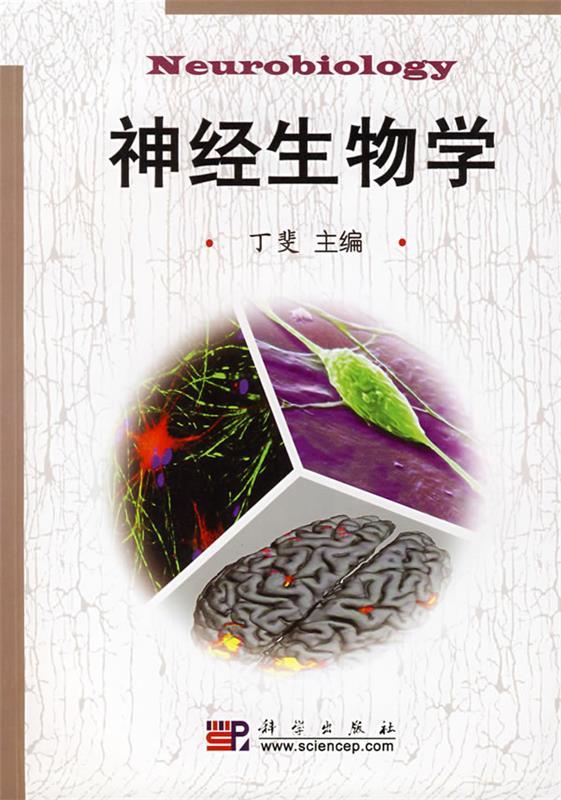 神经生物学 丁斐主编【正版书】