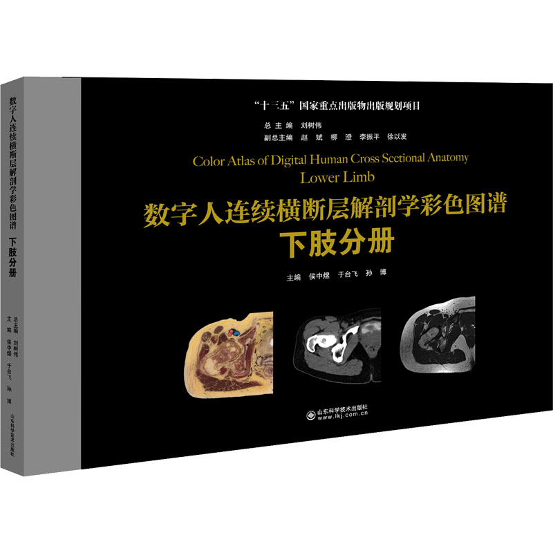 数字人连续横断层解剖学彩色图谱 下肢分册 图书