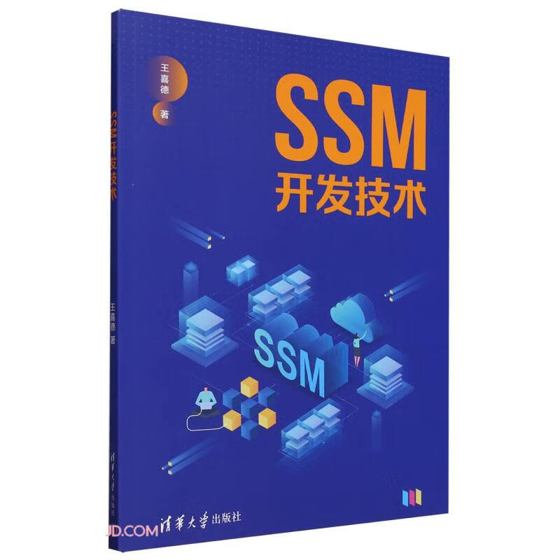 SSM开发技术详情图