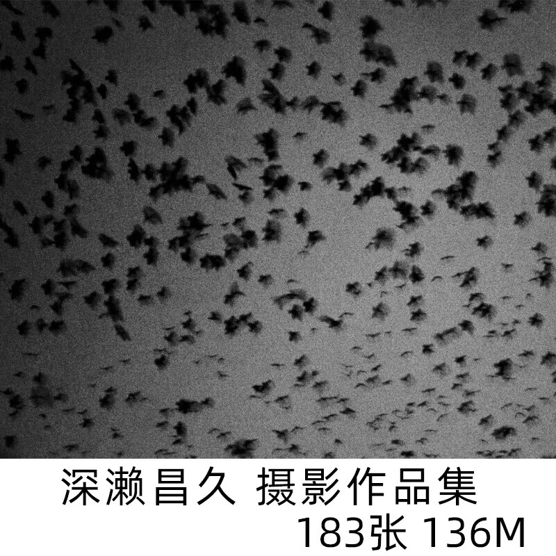 深濑昌久 黑白摄影 摄影集 电子图片素材