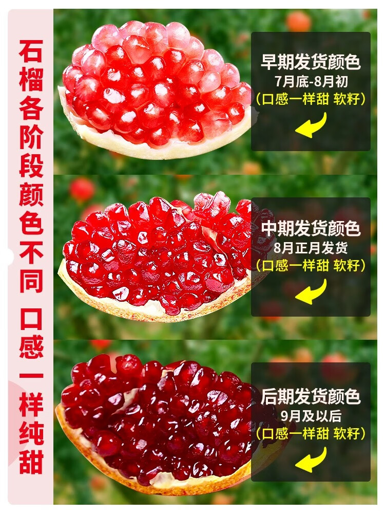 配图2